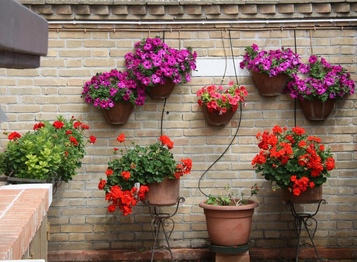 Appartamento Murano Garden House Esterno foto